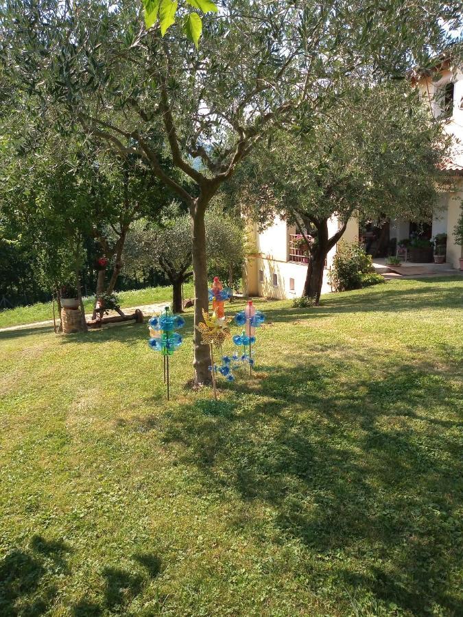 B&B Santa Fosca Pederobba Exterior foto